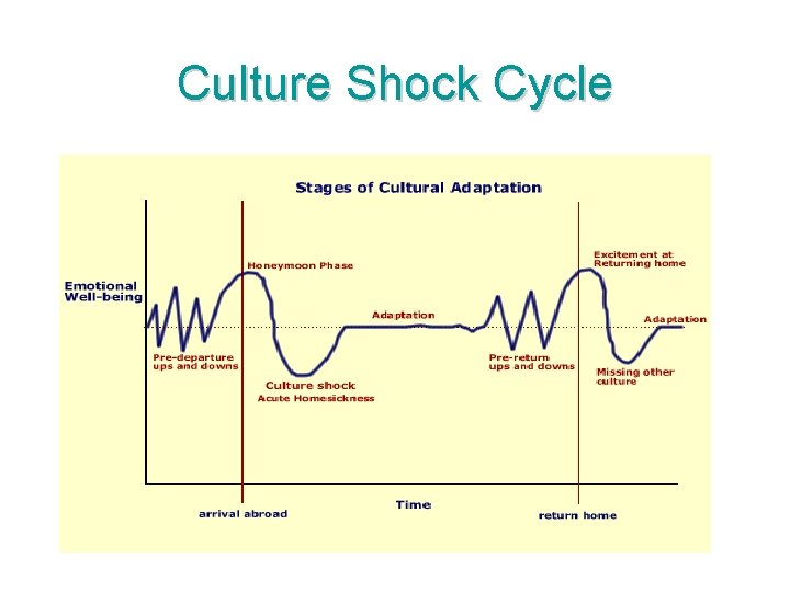 Culture Shock Cycle 