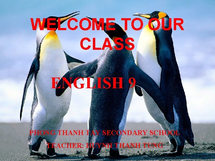 WELCOME TO OUR CLASS ENGLISH 9 PHONG THANH TAY SECONDARY SCHOOL TEACHER: HUYNH THANH