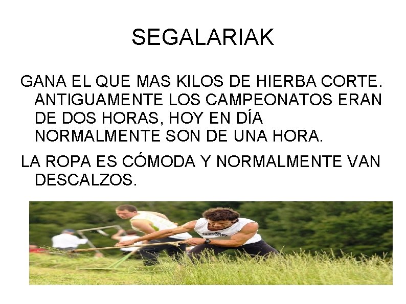 SEGALARIAK GANA EL QUE MAS KILOS DE HIERBA CORTE. ANTIGUAMENTE LOS CAMPEONATOS ERAN DE