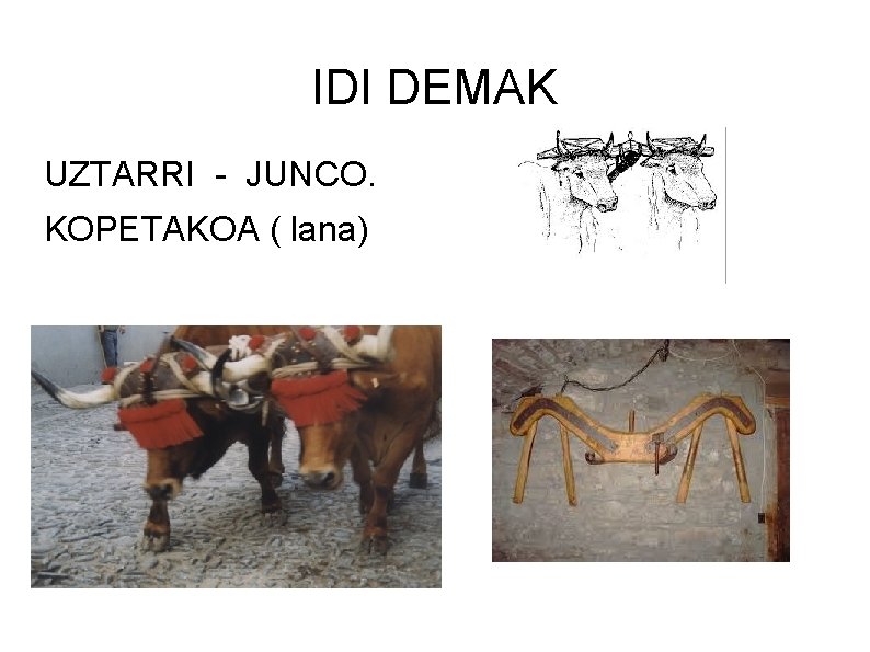 IDI DEMAK UZTARRI - JUNCO. KOPETAKOA ( lana) 