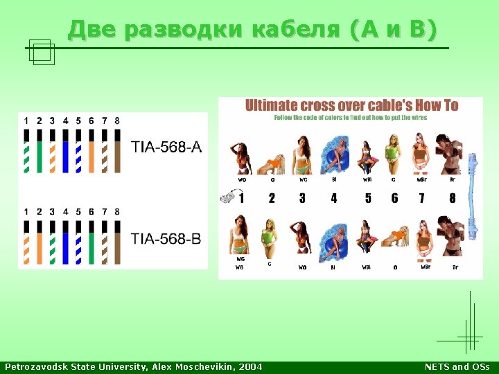 Две разводки кабеля (А и В) Petrozavodsk State University, Alex Moschevikin, 2004 NETS and Две разводки кабеля (А и В) Petrozavodsk State University, Alex Moschevikin, 2004 NETS and