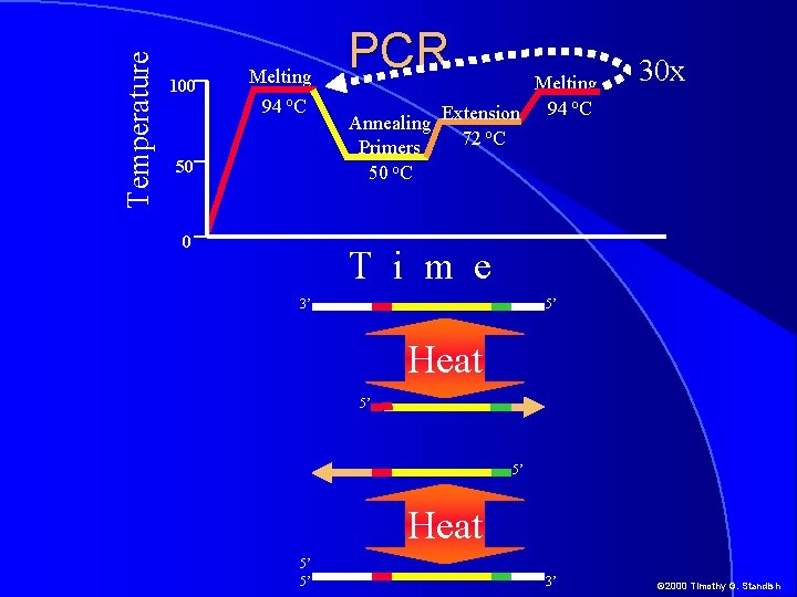 Temperature 100 Melting 94 o. C 50 0 PCR Melting 94 o. C Extension