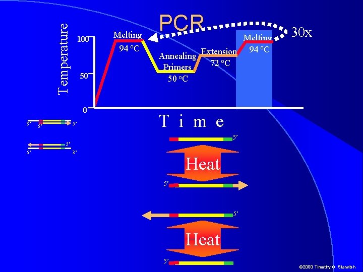 Temperature 100 50 0 3’ 5’ 5’ Melting 94 o. C PCR Melting 94