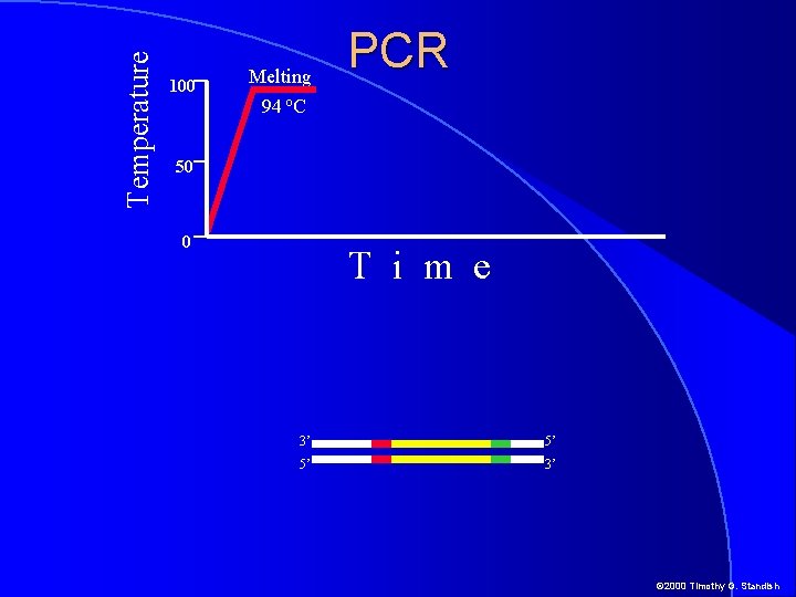 Temperature 100 Melting 94 o. C PCR 50 0 T i m e 3’