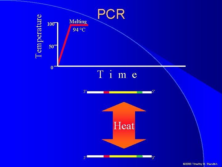 Temperature 100 Melting 94 o. C PCR 50 0 T i m e 3’