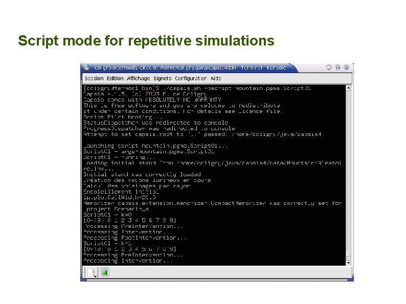 Script mode for repetitive simulations 