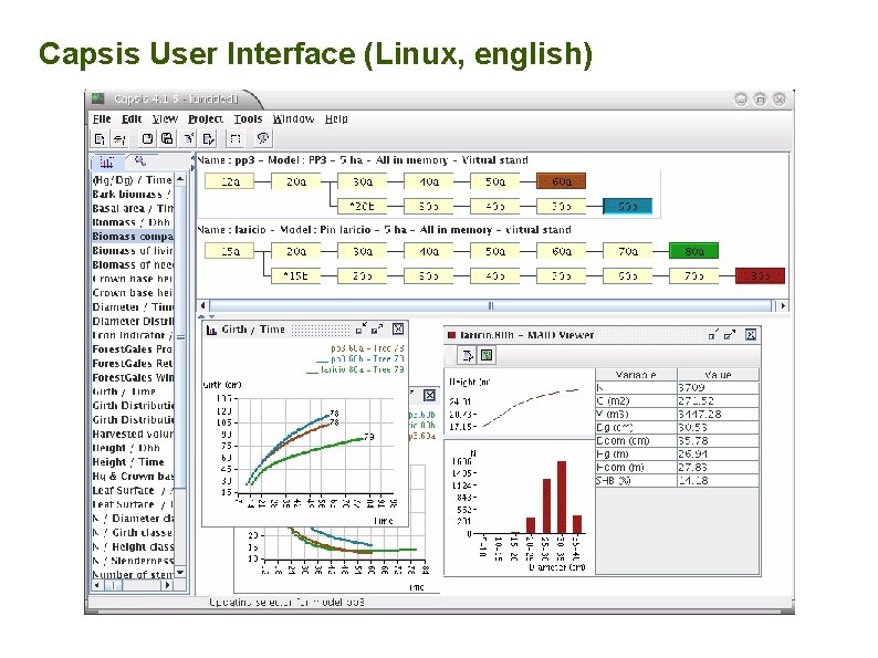 Capsis User Interface (Linux, english) 