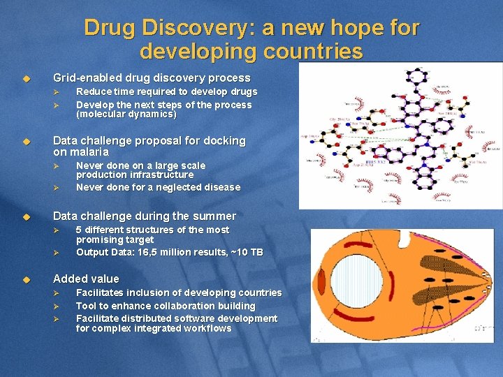 Drug Discovery: a new hope for developing countries u Grid-enabled drug discovery process Ø