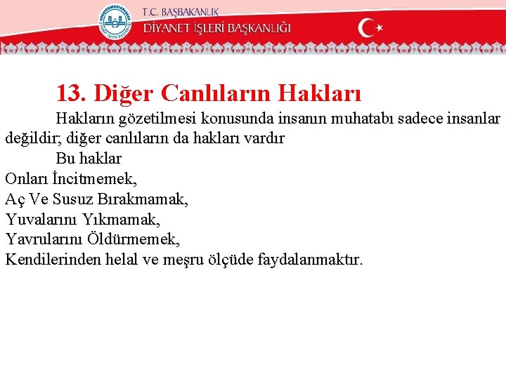 13. Diğer Canlıların Hakların gözetilmesi konusunda insanın muhatabı sadece insanlar değildir; diğer canlıların da