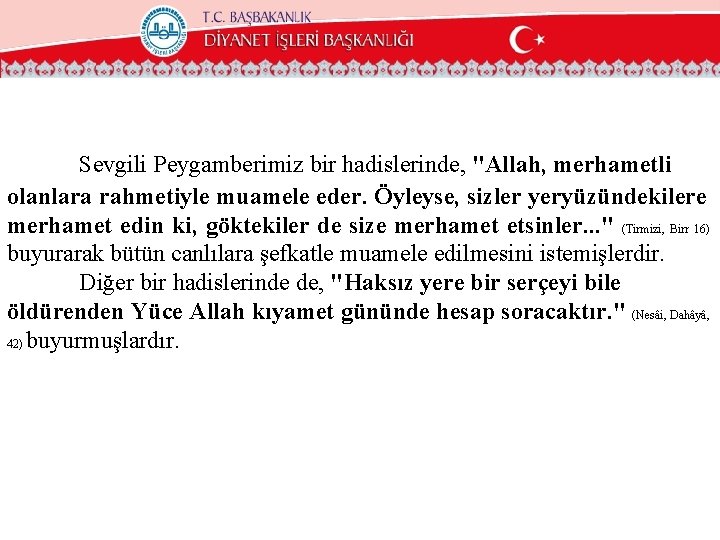 Sevgili Peygamberimiz bir hadislerinde, "Allah, merhametli olanlara rahmetiyle muamele eder. Öyleyse, sizler yeryüzündekilere merhamet