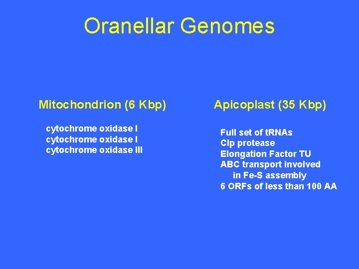 Oranellar Genomes Mitochondrion (6 Kbp) cytochrome oxidase III Apicoplast (35 Kbp) Full set of