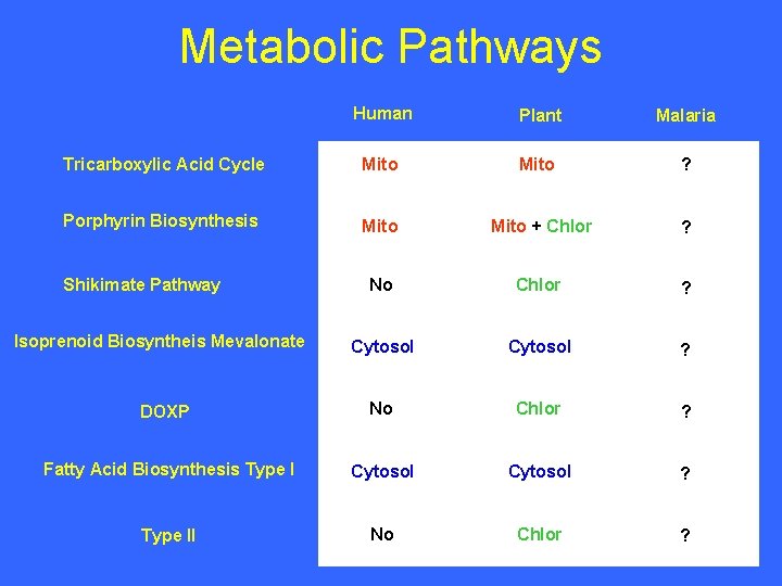 Metabolic Pathways Human Plant Malaria Tricarboxylic Acid Cycle Mito ? Porphyrin Biosynthesis Mito +