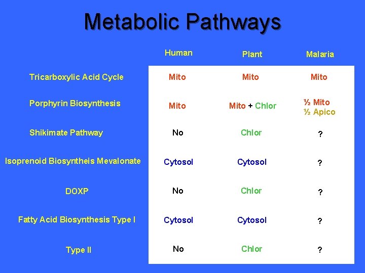 Metabolic Pathways Human Plant Malaria Tricarboxylic Acid Cycle Mito Porphyrin Biosynthesis Mito + Chlor