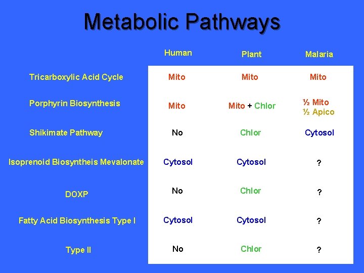 Metabolic Pathways Human Plant Malaria Tricarboxylic Acid Cycle Mito Porphyrin Biosynthesis Mito + Chlor