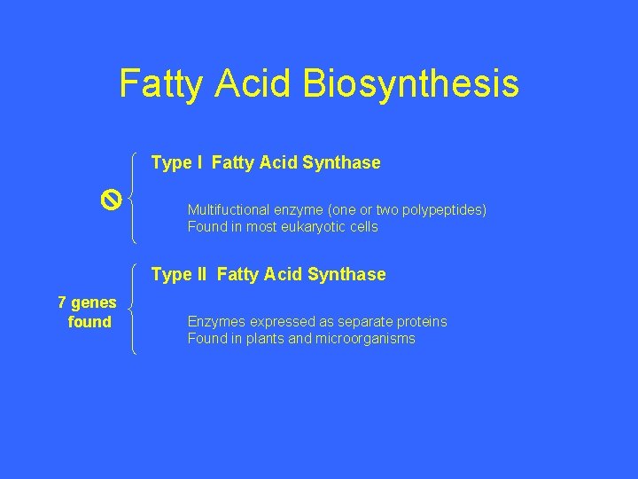 Fatty Acid Biosynthesis Type I Fatty Acid Synthase Multifuctional enzyme (one or two polypeptides)