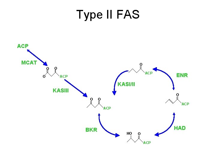 Type II FAS ACP MCAT O O ? ACP ENR KASI/II KASIII O O