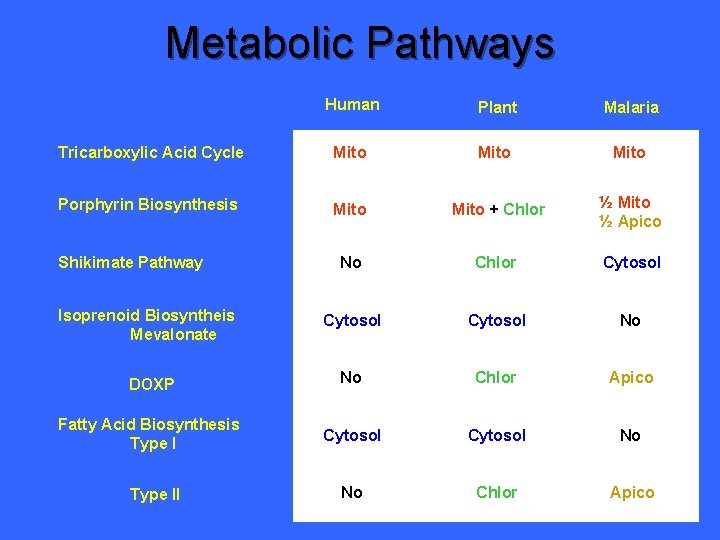 Metabolic Pathways Human Plant Malaria Tricarboxylic Acid Cycle Mito Porphyrin Biosynthesis Mito + Chlor