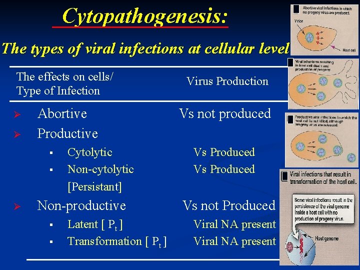 Foundation Block Microbiology 2013 By Dr Malak M