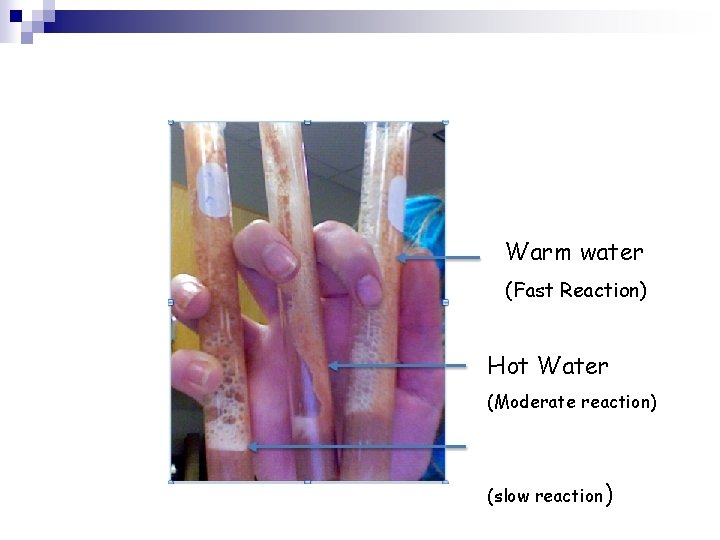 Warm water (Fast Reaction) Hot Water (Moderate reaction) Cold Water (slow reaction) 