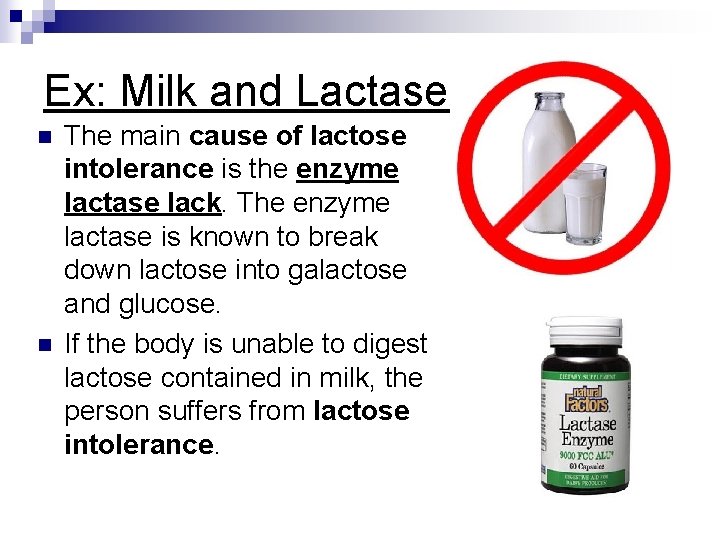 Ex: Milk and Lactase n n The main cause of lactose intolerance is the