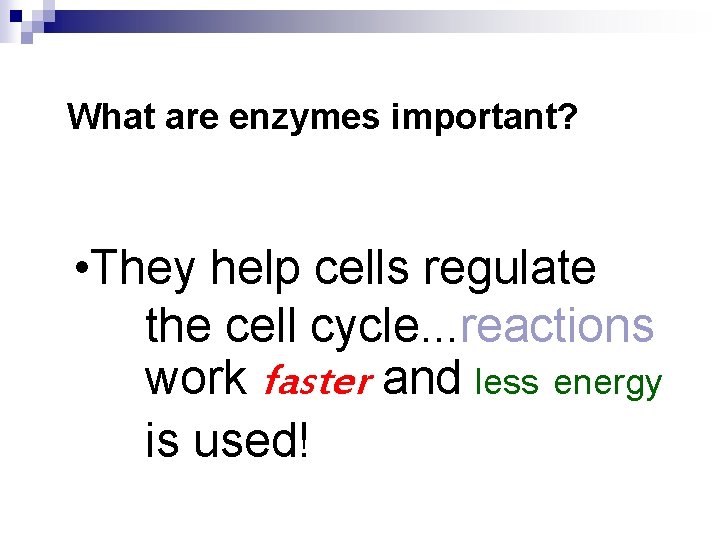 What are enzymes important? • They help cells regulate the cell cycle. . .