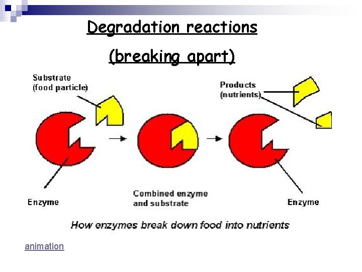 Degradation reactions (breaking apart) animation 