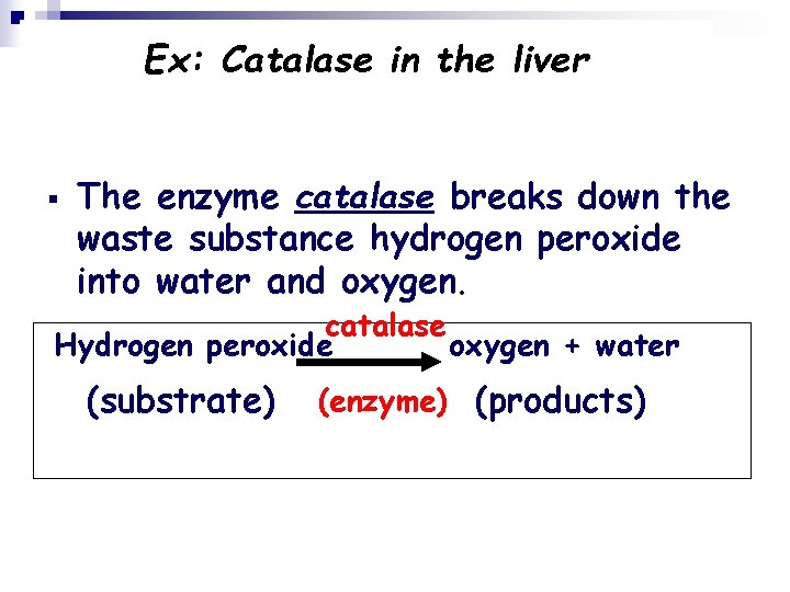 Ex: Catalase in the liver § The enzyme catalase breaks down the waste substance