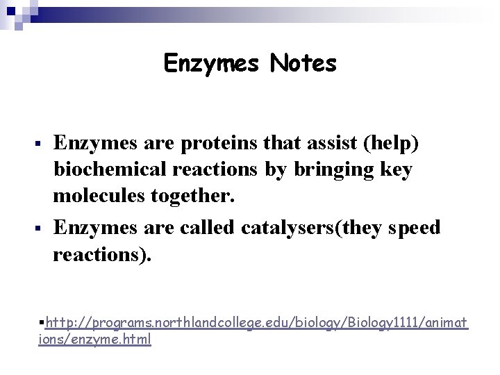 Enzymes Notes § § Enzymes are proteins that assist (help) biochemical reactions by bringing