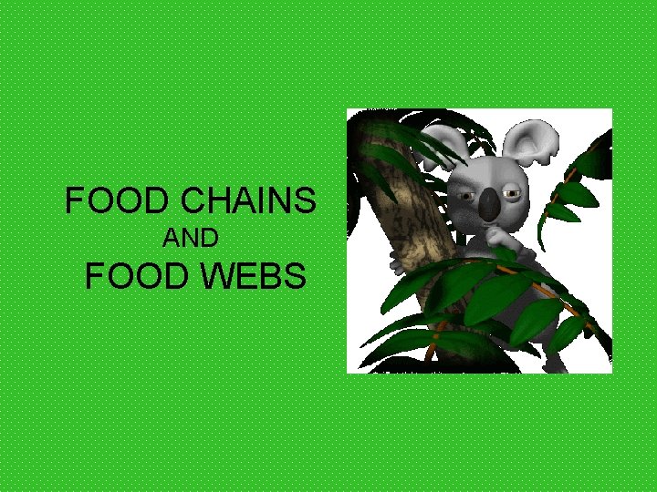 FOOD CHAINS AND FOOD WEBS 