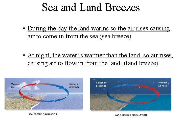 Sea and Land Breezes • During the day the land warms so the air