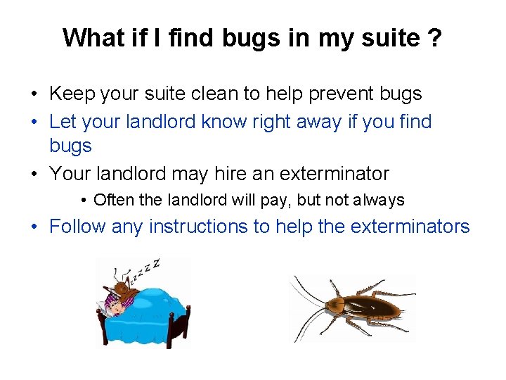 What if I find bugs in my suite ? • Keep your suite clean