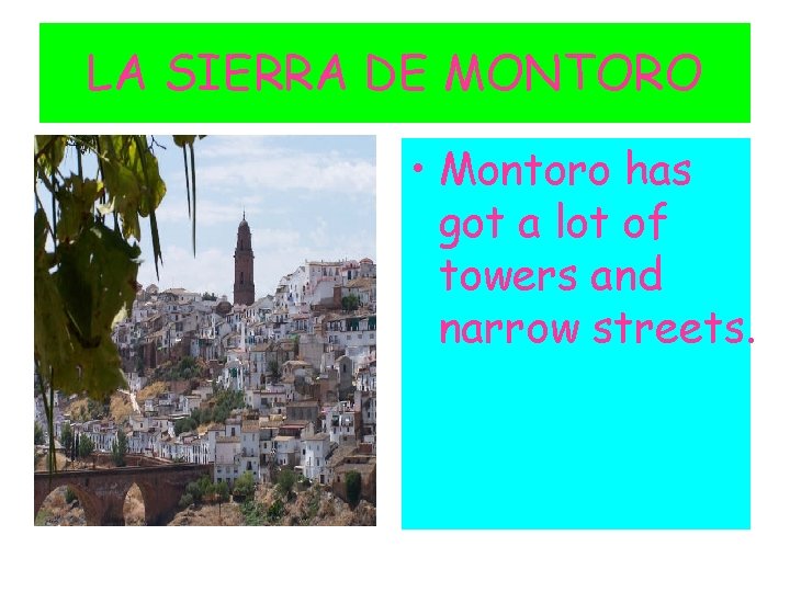 LA SIERRA DE MONTORO • Montoro has got a lot of towers and narrow