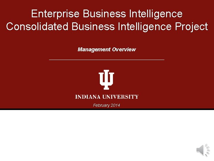 Enterprise Business Intelligence Consolidated Business Intelligence Project Management Overview February 2014 