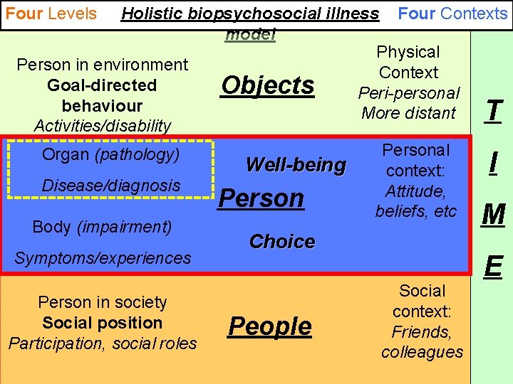 Four Levels Holistic biopsychosocial illness Four Contexts model Physical Person in environment Context Goal-directed Four Levels Holistic biopsychosocial illness Four Contexts model Physical Person in environment Context Goal-directed