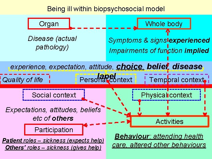 Being ill within biopsychosocial model Organ Whole body Disease (actual pathology) Symptoms & signs Being ill within biopsychosocial model Organ Whole body Disease (actual pathology) Symptoms & signs