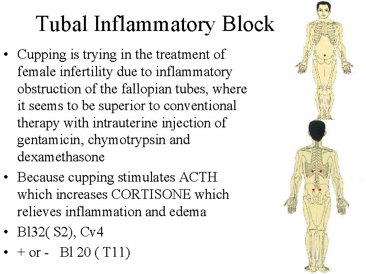 Tubal Inflammatory Block • Cupping is trying in the treatment of female infertility due