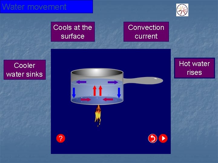 Water movement Cools at the surface Cooler water sinks Convection current Hot water rises