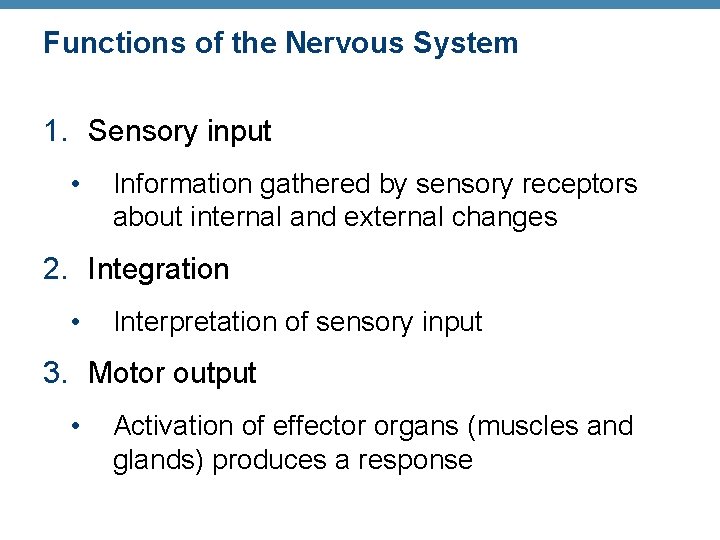 Functions of the Nervous System 1. Sensory input • Information gathered by sensory receptors