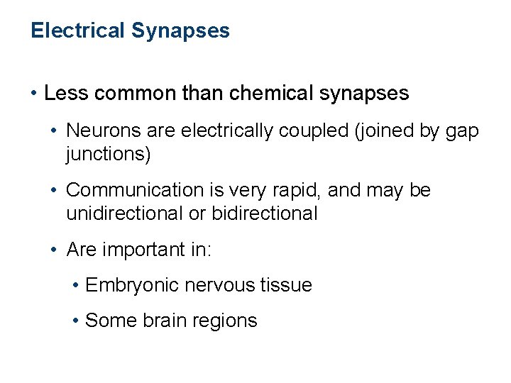 Electrical Synapses • Less common than chemical synapses • Neurons are electrically coupled (joined