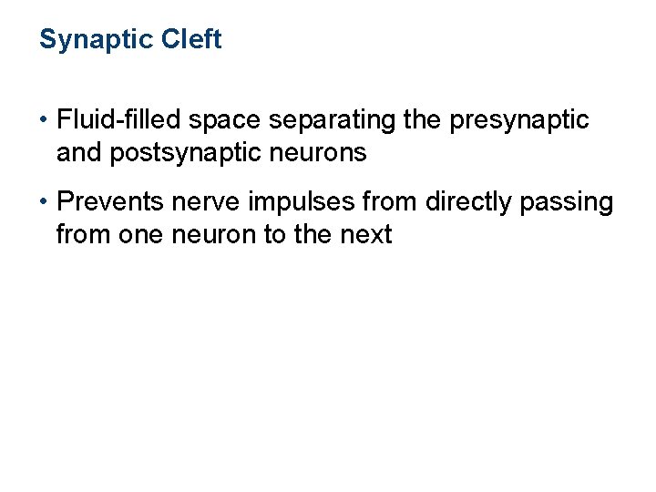 Synaptic Cleft • Fluid-filled space separating the presynaptic and postsynaptic neurons • Prevents nerve