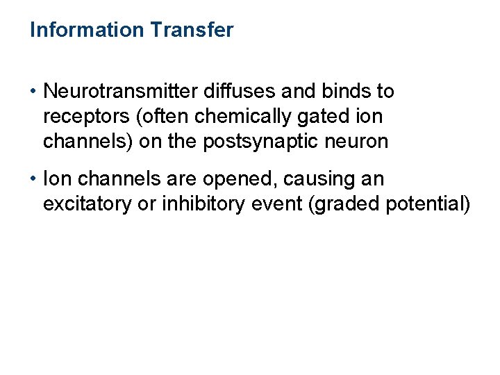 Information Transfer • Neurotransmitter diffuses and binds to receptors (often chemically gated ion channels)