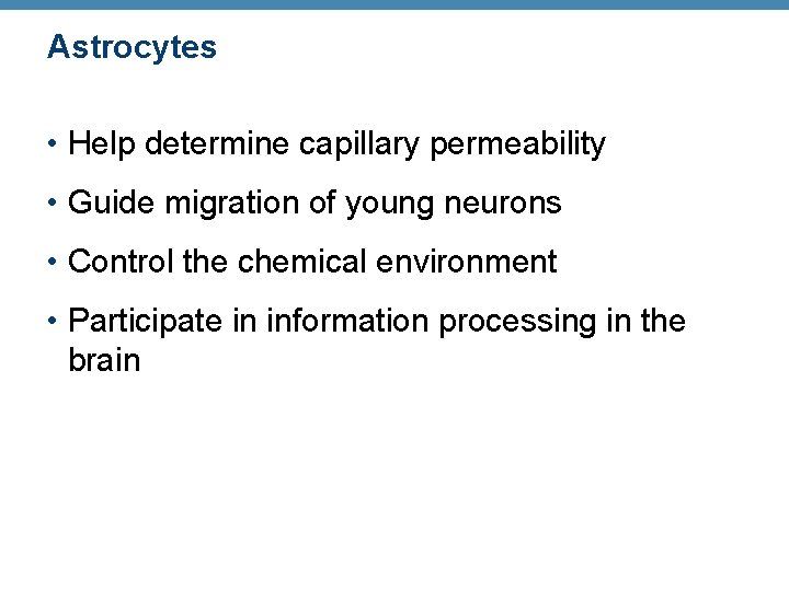 Astrocytes • Help determine capillary permeability • Guide migration of young neurons • Control