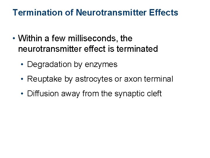 Termination of Neurotransmitter Effects • Within a few milliseconds, the neurotransmitter effect is terminated