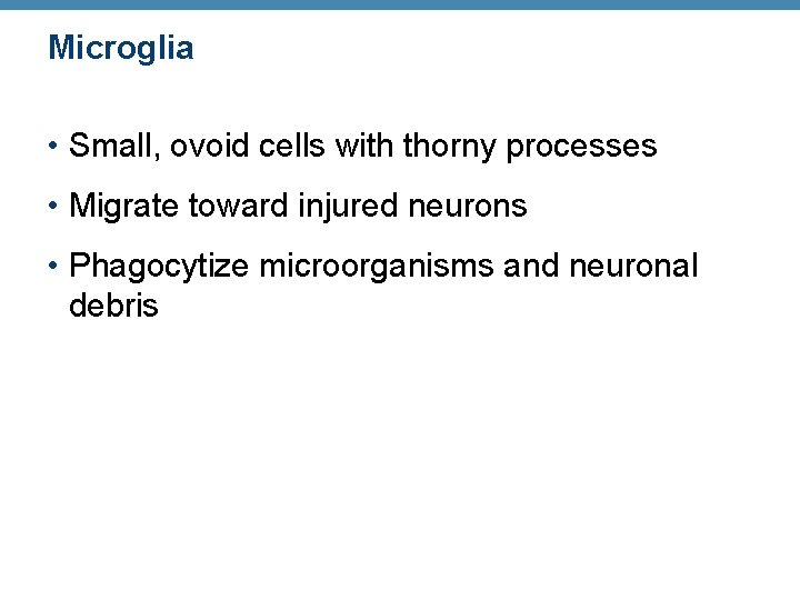 Microglia • Small, ovoid cells with thorny processes • Migrate toward injured neurons •