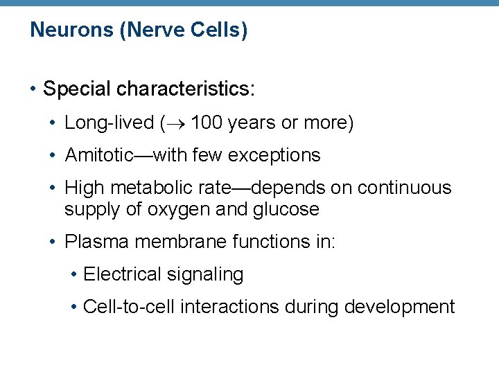 Neurons (Nerve Cells) • Special characteristics: • Long-lived ( 100 years or more) •