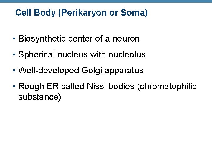 Cell Body (Perikaryon or Soma) • Biosynthetic center of a neuron • Spherical nucleus