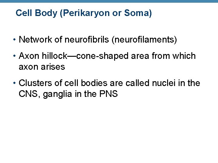 Cell Body (Perikaryon or Soma) • Network of neurofibrils (neurofilaments) • Axon hillock—cone-shaped area