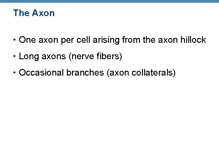 The Axon • One axon per cell arising from the axon hillock • Long