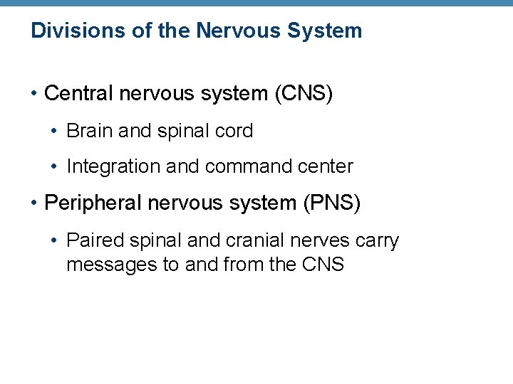 Divisions of the Nervous System • Central nervous system (CNS) • Brain and spinal