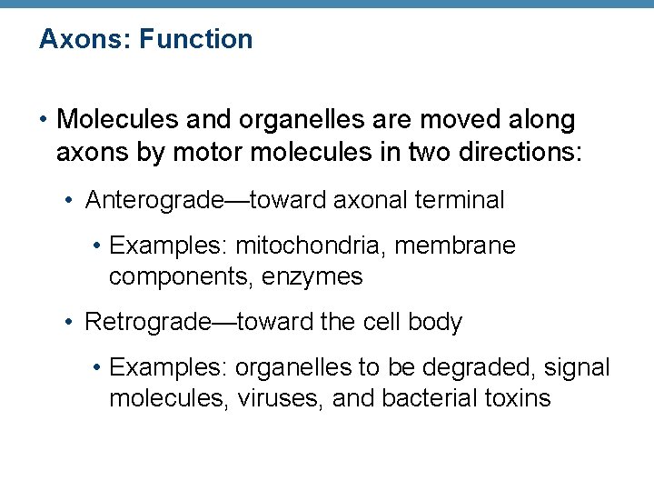 Axons: Function • Molecules and organelles are moved along axons by motor molecules in